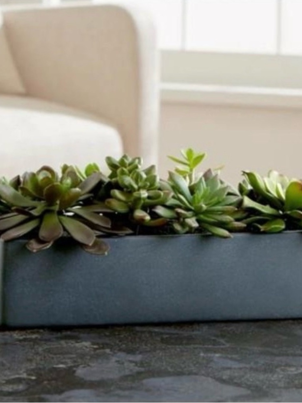 Crate and Barrel Potted Faux Succulent Arrangement in Matte Black Planter Box